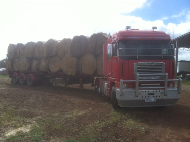 cartage3