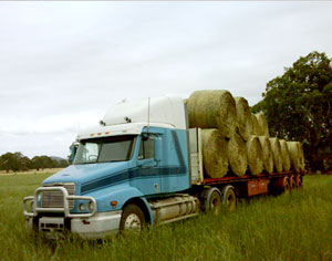 fleet2